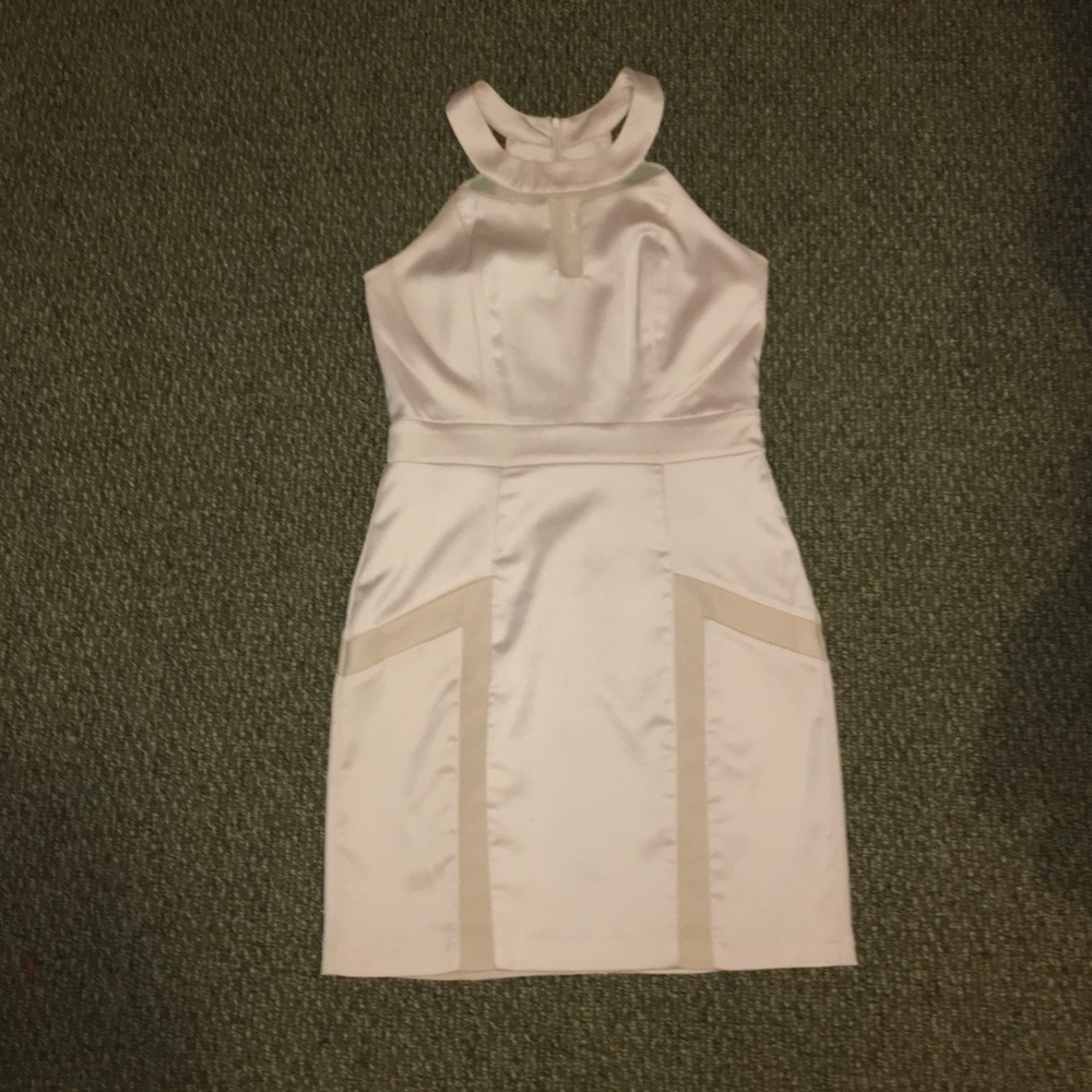Pale Pink Gianni Bini Dress